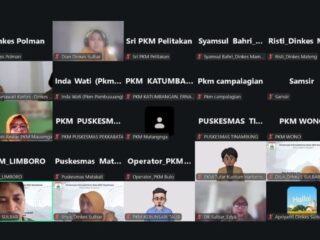 Data Akurat, Kebijakan Tepat: DKPPKB Sulbar Gelar Desk Data SDM Kesehatan untuk Perkuat Perencanaan Layanan Kesehatan