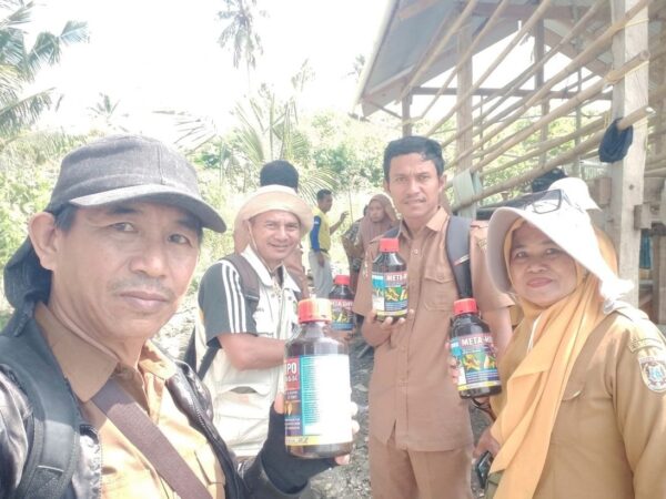 Tanggap Darurat Serangan Ulat Grayak, DTPHP Sulbar Laksanakan Gerdal OPT pada Lahan Bawang Merah di Polman