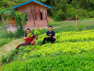 Program MBG di Mamasa Buka Pasar Baru bagi Petani Lokal