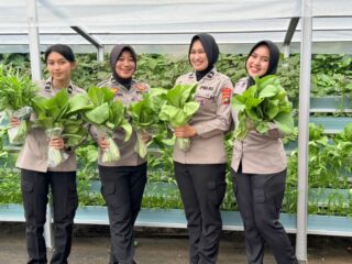 Ditlantas Sulbar Optimalkan Lahan Kosong Jadi Pekarangan Pangan Lestari