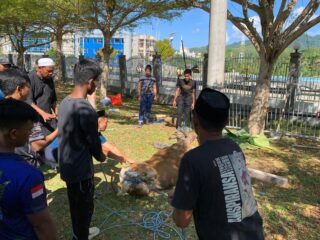 Idul Adha 1447 H, Lanal Mamuju Tebar Kepedulian Lewat Kurban