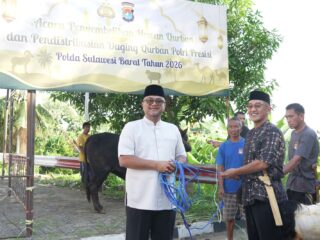 Idul Adha 1447 H, Polda Sulbar Sembelih 50 Hewan Qurban untuk Masyarakat