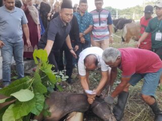 SDK Turun Langsung Sembelih Hewan Kurban untuk Warga