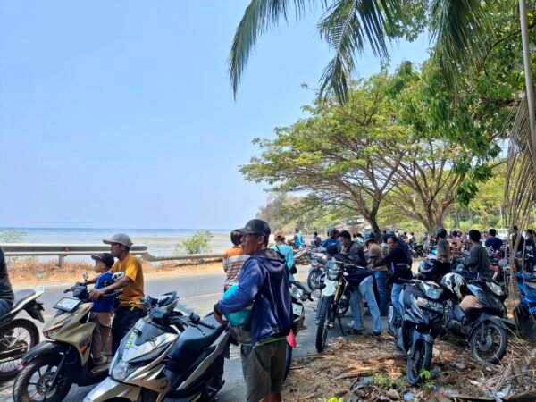 Sandeq Silumba Diserbu Ribuan Warga, Pedagang Ketiban Rezeki