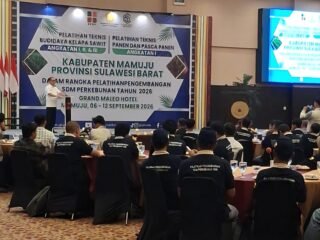 Pelatihan SDMP di Mamuju Dorong Peningkatan Produktivitas dan Mutu Sawit