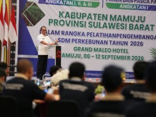 Pelatihan SDMP 2026 Dibuka, Sulbar Ingin Produktivitas dan Harga Sawit Meningkat